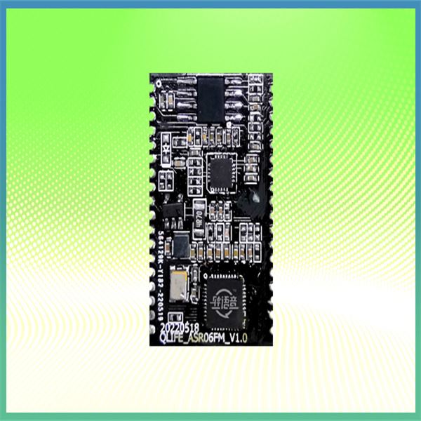 Multilingual Voice Recognition Module With Echo Canceller
