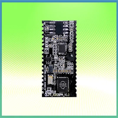 Multilingual Voice Recognition Module With Echo Canceller